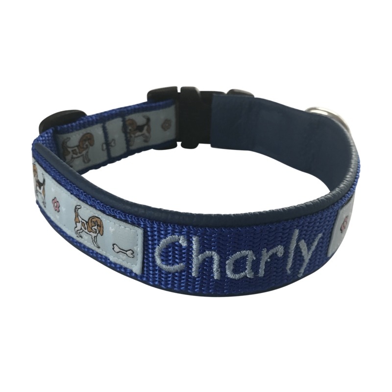 beaglehalsbandblau