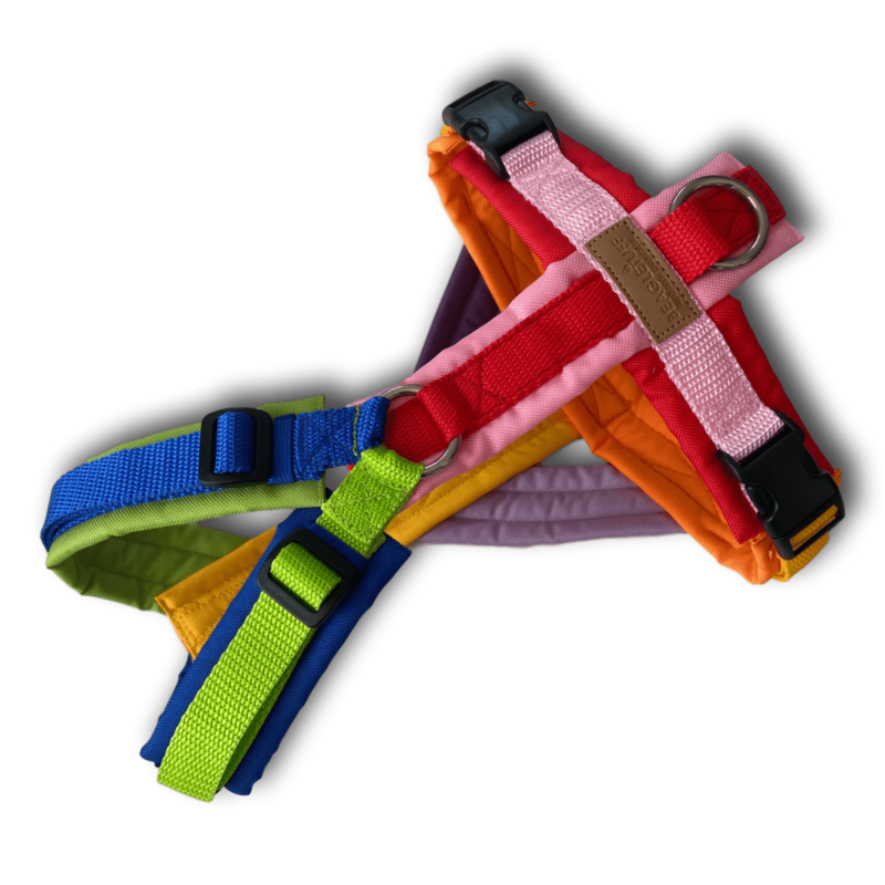 geschirrgbeditionjuliaS BT EasyWalk Edition Julia bunt