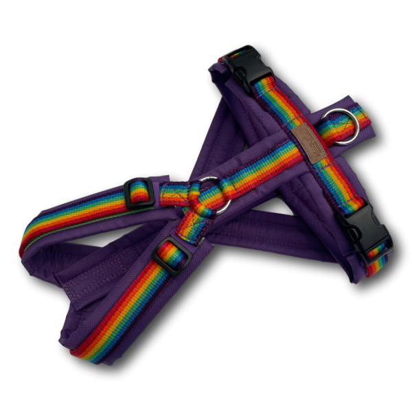 regenbogenlilagb1