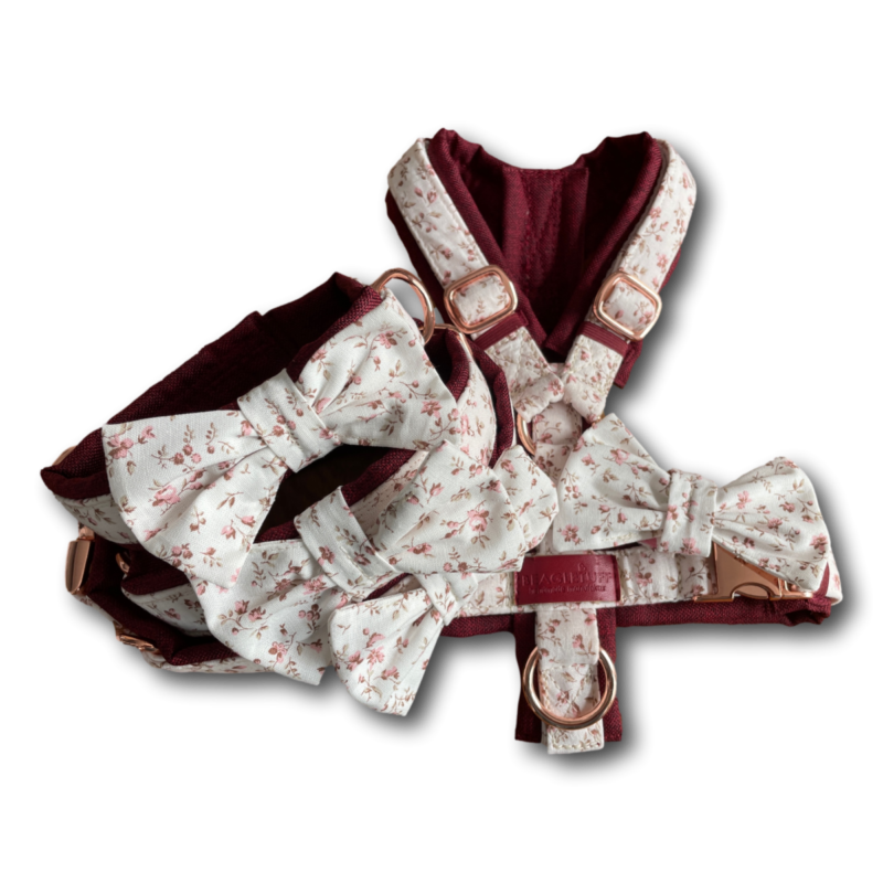 bluemchenbeigealle