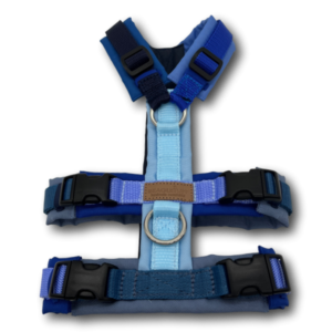 editionblauplus1