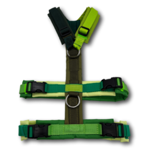 editiongruenplus1